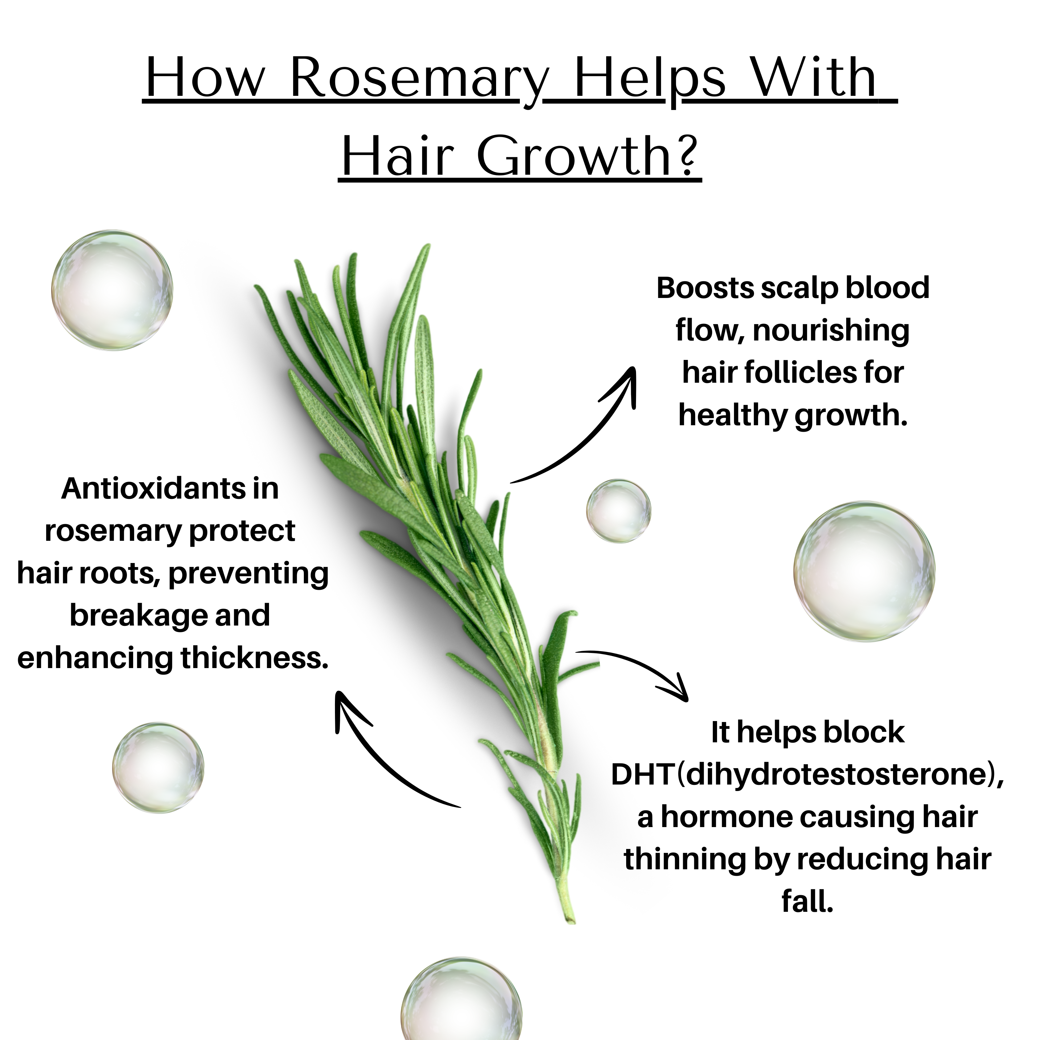 Swasco Rosemary Water for Thick & Smooth Hair (100 ml) Swasco